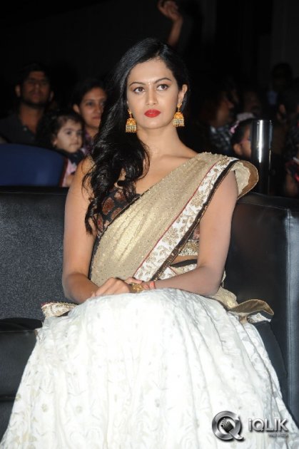 Prathinidhi-Movie-Audio-Launch